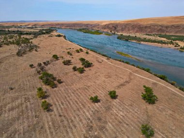 Ili Nehri ve kumlu kıyı bölgesi. Semirechye 'deki en büyük nehir. İnsansız hava aracının görüntüsü. Yılın yaz zamanı..