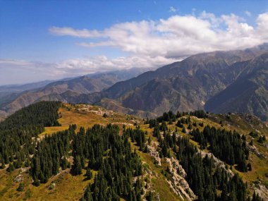 Qaragai Boğazı. İnsansız hava aracının görüntüsü. Yazın farklı bitki örtüsüne sahip dağlık arazi..
