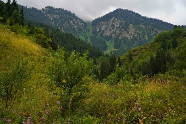 Ulusal Doğa Parkı. Farklı bitki örtüsü olan dağlık bir bölge. Bulutlu, yağmurlu.