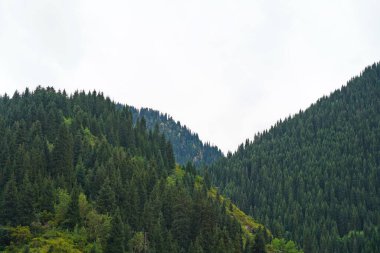 Ulusal Doğa Parkı. Farklı bitki örtüsü olan dağlık bir bölge. Bulutlu, yağmurlu.