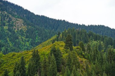 Ulusal Doğa Parkı. Farklı bitki örtüsü olan dağlık bir bölge. Bulutlu, yağmurlu.