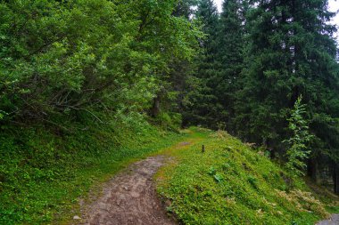 Ulusal Doğa Parkı. Farklı bitki örtüsü olan dağlık bir bölge. Bulutlu, yağmurlu.