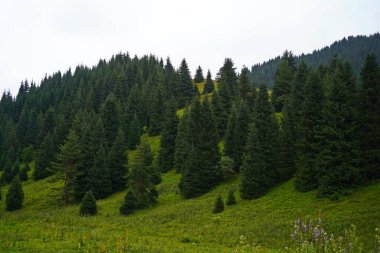 Ulusal Doğa Parkı. Farklı bitki örtüsü olan dağlık bir bölge. Bulutlu, yağmurlu.