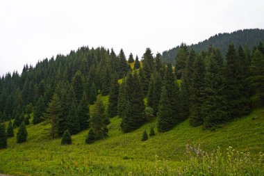 Ulusal Doğa Parkı. Farklı bitki örtüsü olan dağlık bir bölge. Bulutlu, yağmurlu.