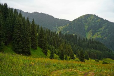 Ulusal Doğa Parkı. Farklı bitki örtüsü olan dağlık bir bölge. Bulutlu, yağmurlu.