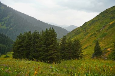 Ulusal Doğa Parkı. Farklı bitki örtüsü olan dağlık bir bölge. Bulutlu, yağmurlu.