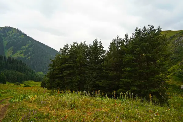 Ulusal Doğa Parkı. Farklı bitki örtüsü olan dağlık bir bölge. Bulutlu, yağmurlu.
