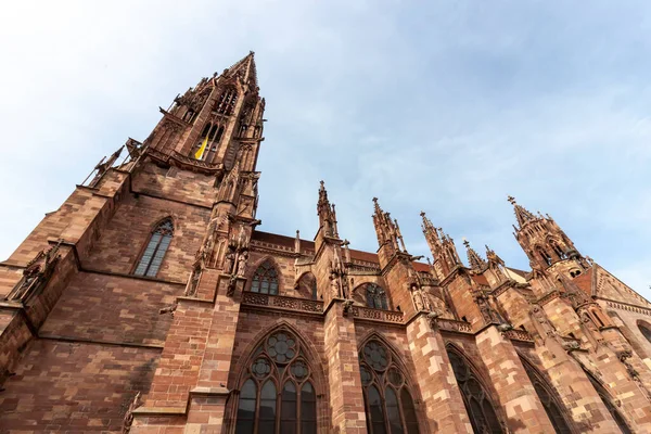 Freiburg Almanya Mayıs 2023 Freiburg Minster Katedral 1200 Civarında Kuruldu — Stok fotoğraf