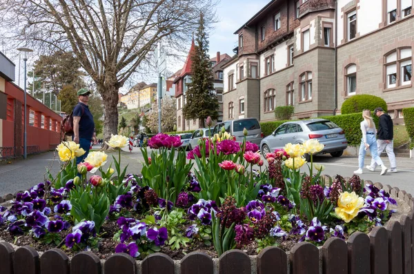 Мерсбург Германия Апреля 2023 Года Цветочная Кровать Большим Количеством Цветов — стоковое фото
