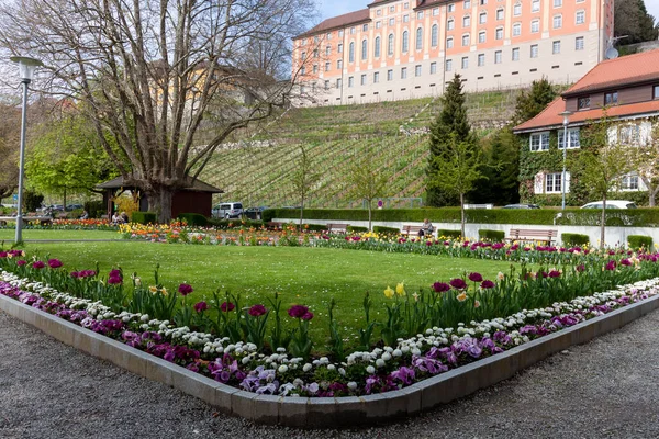 Meersburgo Alemanha Abril 2023 Cama Flores Com Muitas Flores Aterro — Fotografia de Stock
