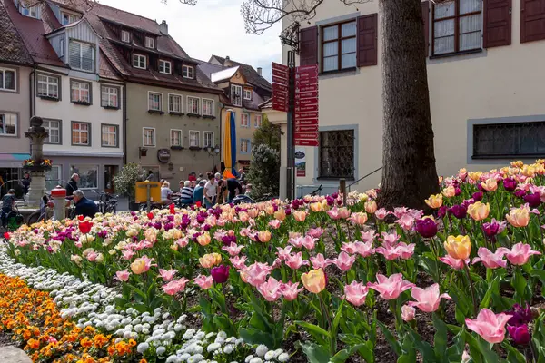 Meersburg April 2023 Blumenbeet Mit Vielen Blumen Der Meersburger Straße — Stockfoto