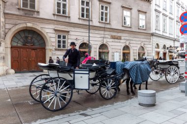 Vienna, AUSTRIA - 16 Nisan 2023: Viyana, Avusturya 'daki şehir merkezinde geleneksel bir Fiaker' a binmek. Ata binenlerin sayısı sınırlı ve özel bir lisansları var..