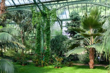 SUTTGART, ALMANY - 29 AĞUSTOS 2022 Wilhelma, Stuttgart 'taki Botanik Bahçesi