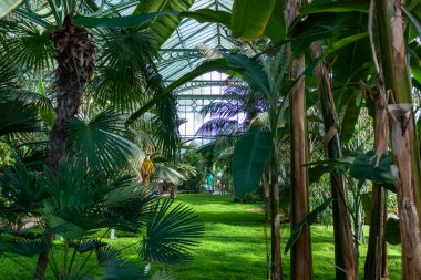 SUTTGART, ALMANY - 29 AĞUSTOS 2022 Wilhelma, Stuttgart 'taki Botanik Bahçesi