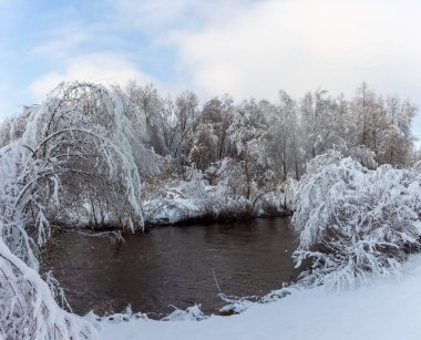 Kışın hızlı akan nehrin kıyısındaki karla kaplı ağaçlar. Almanya, Ravensburg