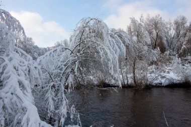 Kışın hızlı akan nehrin kıyısındaki karla kaplı ağaçlar. Almanya, Ravensburg
