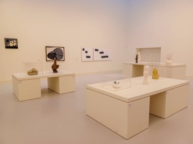 STRASBOURG, FRANCE - 4 HAZİRAN 2023: Strasbourg 'daki Modern ve Çağdaş Sanat Müzesinde Sergiler