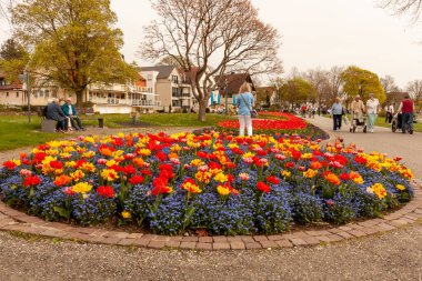 LANGENARJEN, GERMANY - 7 Nisan 2024: Langenargen setinde çok fazla çiçek var, kimse umursamadan geçmiyor, bir çoğu fotoğraf çekiyor
