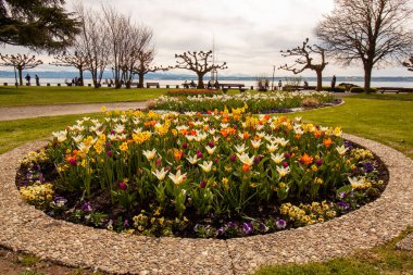 HAGNAU, GERMANY - 29 Mart 2024 Hagnau seti üzerinde birçok çiçek var