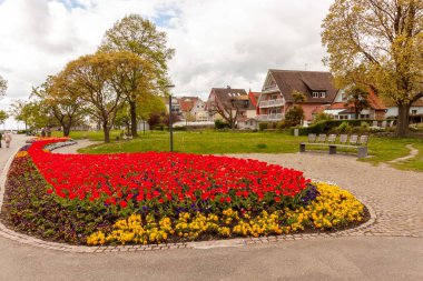 Almanya 'nın Langenargen kentindeki Bodensee setinde birçok çiçek vardır.