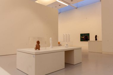 STRASBOURG, FRANCE - 21 Eylül 2024: Strasbourg 'daki Modern ve Çağdaş Sanat Müzesinde Sergiler