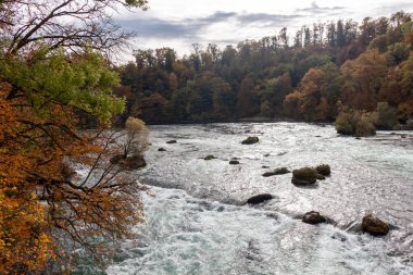 Avrupa 'nın en büyük şelalesinin önünde. Köprüden görüntü. İsviçre