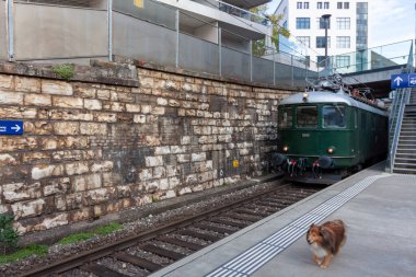 NEUHAUSEN, SWitzERLAND - 29 Ekim 2023: tren istasyona varır