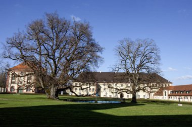 Altshausen, Almanya 'daki Altshausen Kalesi' nin gündüz çekimleri. Önünde açık mavi gökyüzüne karşı büyük, çıplak bir ağaç var.