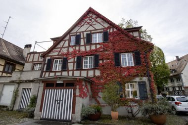 BREGENZ, AUSTRIA - 6 Ekim 2024: Avusturya 'nın Bregenz kentindeki kırmızı sarmaşıkla kaplı ev