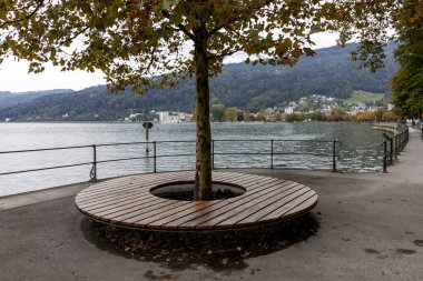 Avusturya, Bregenz 'de Constance Gölü' ne bakan bir ağacın etrafında yuvarlak ahşap bir bank.