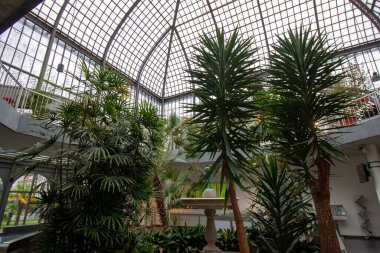 FRANKFURT, Almanya - 2 ARALIK. 2024: Frankfurt 'taki Palmengarten serasında