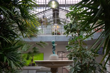 FRANKFURT, Almanya - 2 ARALIK. 2024: Frankfurt 'taki Palmengarten serasında