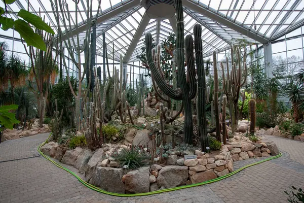 FRANKFURT, Almanya - 2 ARALIK. 2024: Frankfurt 'taki Palmengarten serasında