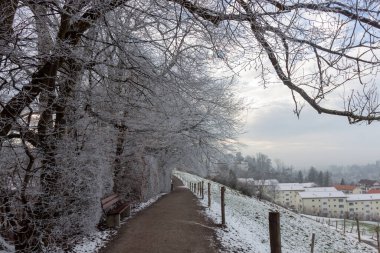 Buzlu ağaçlarla çevrili karlı bir yol ve uzak binaları olan yumuşak bir yamaç, St. Gallen, İsviçre