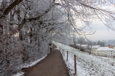 Buzlu ağaçlarla çevrili karlı bir yol ve uzak binaları olan yumuşak bir yamaç, St. Gallen, İsviçre