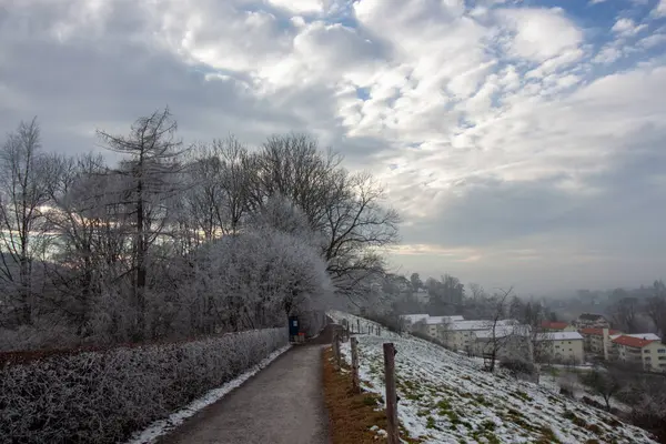 Buzlu ağaçlarla çevrili karlı bir yol ve uzak binaları olan yumuşak bir yamaç, St. Gallen, İsviçre