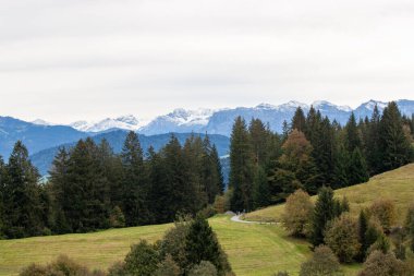 Avusturya 'daki Pfaender dağından nefes kesen panoramik manzara ufuk boyunca uzanan görkemli kar örtülü Alpleri gösteriyor.