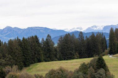 Avusturya 'daki Pfaender dağından nefes kesen panoramik manzara ufuk boyunca uzanan görkemli kar örtülü Alpleri gösteriyor.