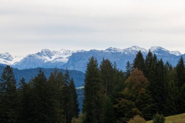 Avusturya 'daki Pfaender dağından nefes kesen panoramik manzara ufuk boyunca uzanan görkemli kar örtülü Alpleri gösteriyor.