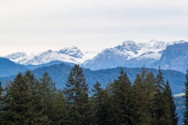 Avusturya 'daki Pfaender dağından nefes kesen panoramik manzara ufuk boyunca uzanan görkemli kar örtülü Alpleri gösteriyor.