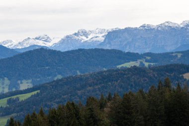 Avusturya 'daki Pfaender dağından nefes kesen panoramik manzara ufuk boyunca uzanan görkemli kar örtülü Alpleri gösteriyor.