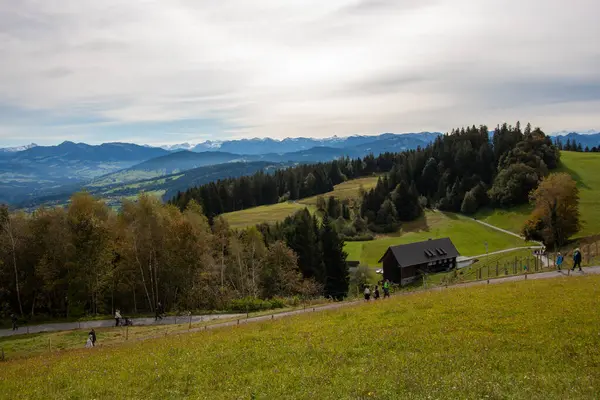Avusturya 'daki Pfaender dağından nefes kesen panoramik manzara ufuk boyunca uzanan görkemli kar örtülü Alpleri gösteriyor.