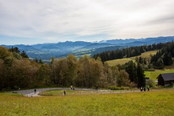 Avusturya 'daki Pfaender dağından nefes kesen panoramik manzara ufuk boyunca uzanan görkemli kar örtülü Alpleri gösteriyor.