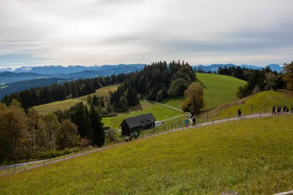 Avusturya 'daki Pfaender dağından nefes kesen panoramik manzara ufuk boyunca uzanan görkemli kar örtülü Alpleri gösteriyor.
