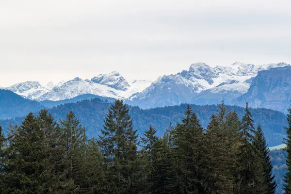 Avusturya 'daki Pfaender dağından nefes kesen panoramik manzara ufuk boyunca uzanan görkemli kar örtülü Alpleri gösteriyor.