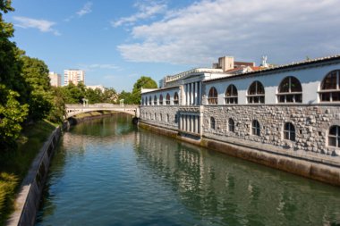 Slovenya 'nın Ljubljana kentindeki Ljubljanica Nehri boyunca ikonik mimari simgeleri yakalayan güzel bir panoramik kare görülüyor.