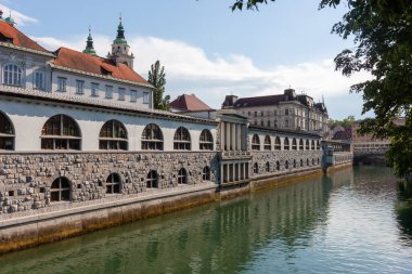 Slovenya 'nın Ljubljana kentindeki Ljubljanica Nehri boyunca ikonik mimari simgeleri yakalayan güzel bir panoramik kare görülüyor.