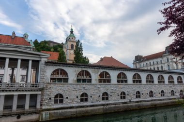Slovenya 'nın Ljubljana kentindeki Ljubljanica Nehri boyunca ikonik mimari simgeleri yakalayan güzel bir panoramik kare görülüyor.