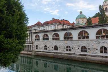 Slovenya 'nın Ljubljana kentindeki Ljubljanica Nehri boyunca ikonik mimari simgeleri yakalayan güzel bir panoramik kare görülüyor.