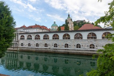 Slovenya 'nın Ljubljana kentindeki Ljubljanica Nehri boyunca ikonik mimari simgeleri yakalayan güzel bir panoramik kare görülüyor.